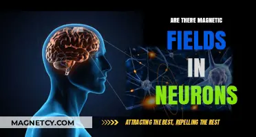 Exploring the Intricate World of Neuronal Magnetic Fields