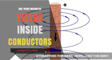 Exploring the Invisible: Magnetic Fields Within Conductors Unveiled