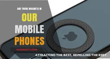 Exploring the Hidden Forces: Do Our Mobile Phones Contain Magnets?