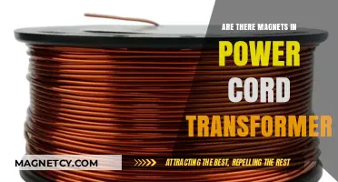 Exploring the Hidden Magnets in Power Cord Transformers