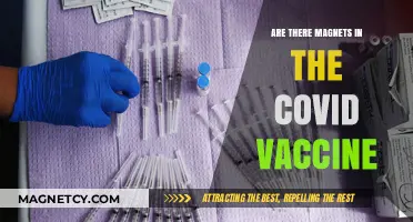 Unraveling the Myth: COVID Vaccines and Magnetism