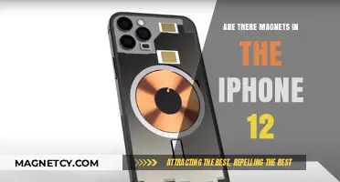 Unveiling the Mystery: Do iPhone 12s Contain Magnets?