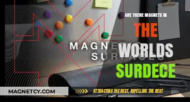 Exploring the Hidden Forces: Are There Magnets in the World's Surfaces?