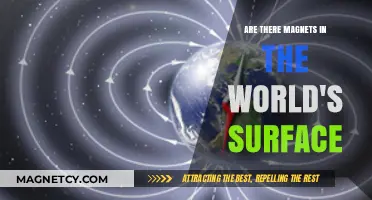 Exploring the Earth's Magnetic Mysteries: What Lies Beneath?