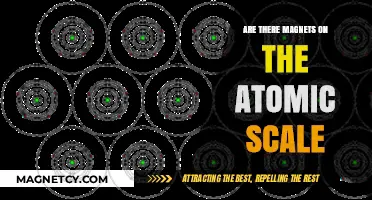 Exploring the Atomic Realm: Do Magnets Exist at This Scale?