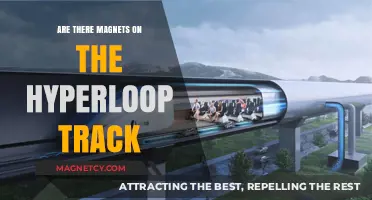 Exploring the Hyperloop: The Role of Magnets on the Track