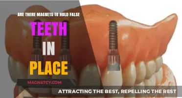 Exploring Magnetic Solutions for Secure Denture Placement