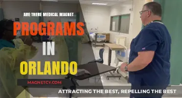 Exploring Medical Magnet Programs in Orlando: A Comprehensive Guide