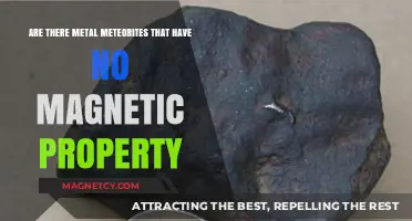 Exploring the Existence of Non-Magnetic Metal Meteorites