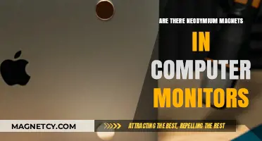 Exploring the Use of Neodymium Magnets in Modern Computer Monitors