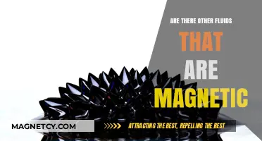 Exploring Magnetic Fluids: Beyond the Ordinary