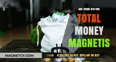Unlocking Wealth: The Truth About Total Money Magnetism Revealed