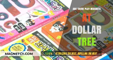 Discover Affordable Fun: Do Dollar Tree Stores Carry Play Magnets?