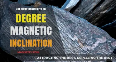 Exploring the Mystery of 60-Degree Magnetic Inclination in Rocks
