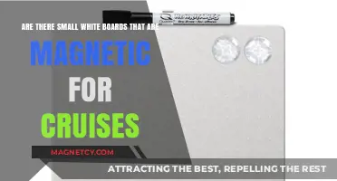 Compact Magnetic Whiteboards: Perfect for Cruise Ship Activities