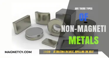 Exploring Non-Magnetic Metals: A Comprehensive Guide to Their Types and Uses