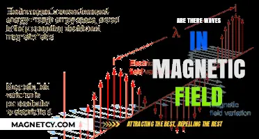 Exploring the Oscillations: Do Magnetic Fields Have Waves?