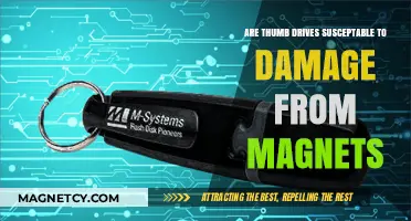 Magnetic Fields and Thumb Drives: Understanding Potential Data Risks