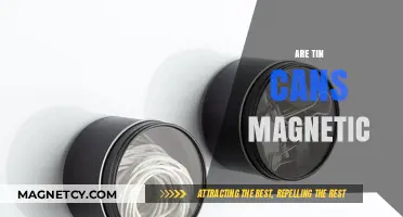 Are Tin Cans Magnetic? Unveiling the Truth Behind Metal Attraction