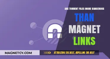 Torrent Files vs. Magnet Links: Unraveling the Safety Myths