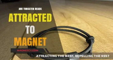 Tungsten Beads and Magnets: Unveiling Their Magnetic Attraction Mystery