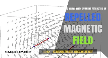 Magnetic Forces: Do Parallel Current-Carrying Wires Attract or Repel?