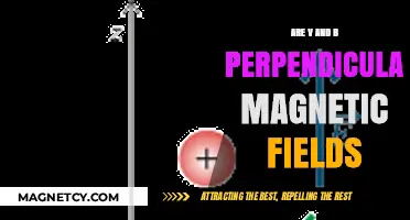 Decoding the Orthogonality: Are V and B Perpendicular Magnetic Fields?