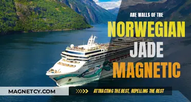 Exploring the Magnetic Mysteries of Norway's Jade Walls