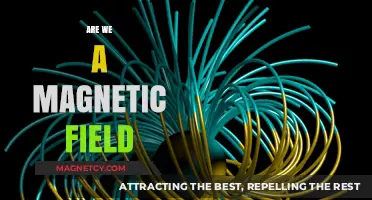 Exploring the Invisible Forces: Are We a Magnetic Field?