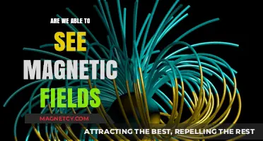 Unveiling the Invisible: Can We Truly See Magnetic Fields?