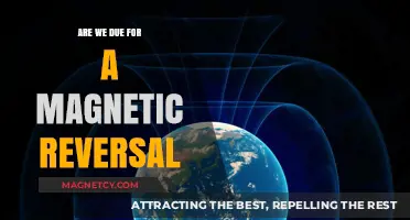 Earth's Magnetic Field: On the Brink of a Historic Reversal?