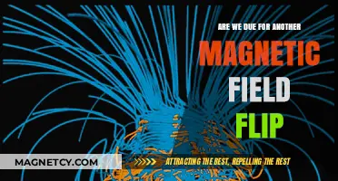 Earth's Magnetic Field: On the Brink of a Historic Flip?