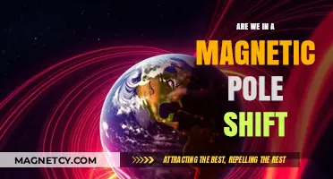 Earth's Magnetic Field: Are We on the Brink of a Pole Shift?