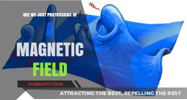 Exploring the Quantum Realm: Are We Magnetic Field Protrusions?