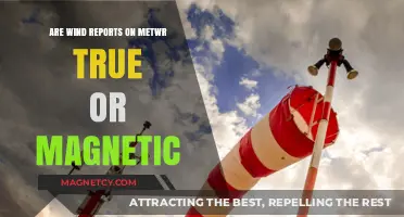 Unraveling the Mystery: Are Wind Reports on MetWR True or Magnetic?