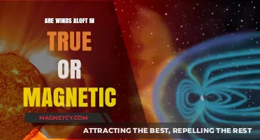 Navigating the Skies: True vs. Magnetic Winds Aloft