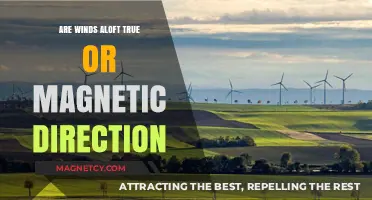 Decoding Wind Aloft: True vs Magnetic Direction Explained