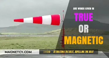 True or Magnetic: Understanding Wind Direction in Navigation