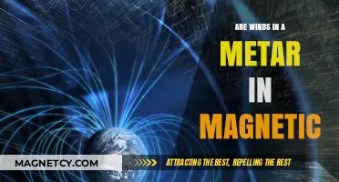 Exploring the Connection: Are METAR Winds Magnetic in Nature?