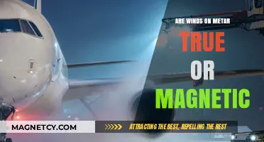 Decoding Metar Winds: True or Magnetic?