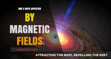 Exploring the Interaction: Do Magnetic Fields Influence X-Rays?
