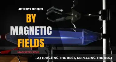 Unveiling the Truth: Do Magnetic Fields Deflect X-Rays?