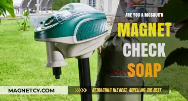 Are You a Mosquito Magnet? Check Your Soap!
