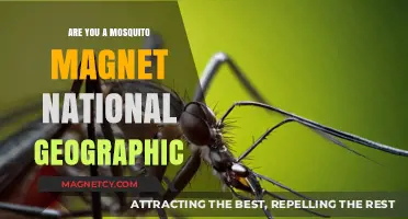 Decoding the Buzz: Why Some People Attract Mosquitoes More Than Others
