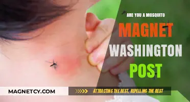 Decoding the Buzz: Why Some People Attract Mosquitoes More Than Others