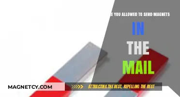 Mailing Magnets: What You Need to Know Before You Send
