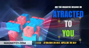 The Invisible Force: Understanding the Science of Human Magnetism