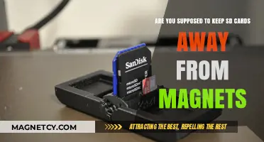 Protecting Your SD Cards: The Truth About Magnets and Data Safety