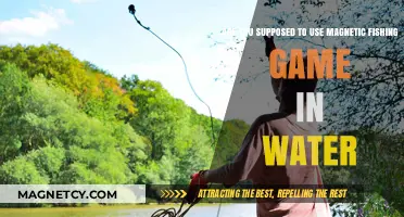 Magnetic Fishing Games: Water Use or Dry Land Fun?