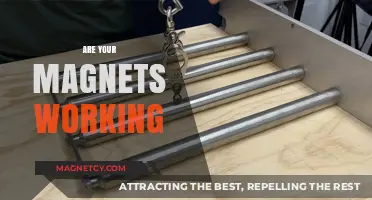Unleashing the Power: Are Your Magnets Working to Their Full Potential?